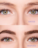 Pro brow tratamiento intensivo para cejas - Colorton