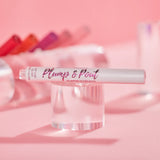 Plump & Pout Plumping Gloss Stick (varios tonos) - Beauty Creations
