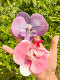 Clip accesorio con orquídea para el cabello