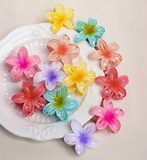 Mini pinzas hawaiianas para el cabello