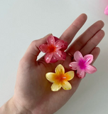 Mini pinzas hawaiianas para el cabello