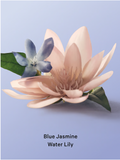 Blue Jasmine Water Lily Hair & Body Mist - Victoria's Secret