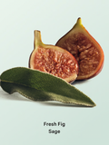 Fresh Fig Sage Hair & Body Mist - Victoria's Secret