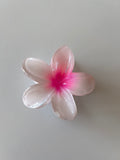 Pinza Flor Hawaiiana