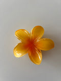 Pinza Flor Hawaiiana