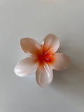 Pinza Flor Hawaiiana