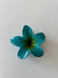 Pinza Flor Hawaiiana
