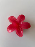 Pinza Flor Hawaiiana
