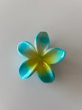 Pinza Flor Hawaiiana