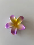 Pinza Flor Hawaiiana