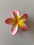 Pinza Flor Hawaiiana