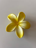 Pinza Flor Hawaiiana