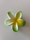 Pinza Flor Hawaiiana