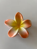 Pinza Flor Hawaiiana