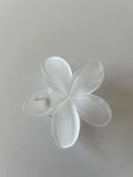 Pinza Flor Hawaiiana