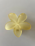 Pinza Flor Hawaiiana