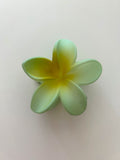 Pinza Flor Hawaiiana