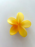 Pinza Flor Hawaiiana