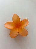 Pinza Flor Hawaiiana