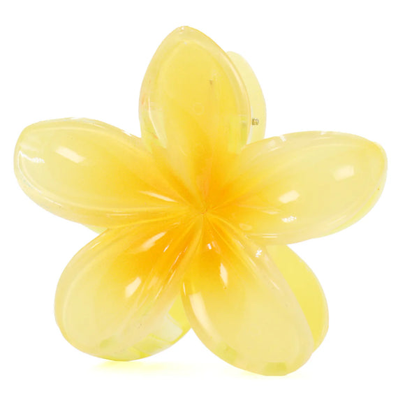 Pinza Flor Hawaiiana