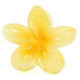 Pinza Flor Hawaiiana