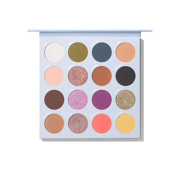 CHANGE MENT ARTISTRY PALETTE  - Morphe